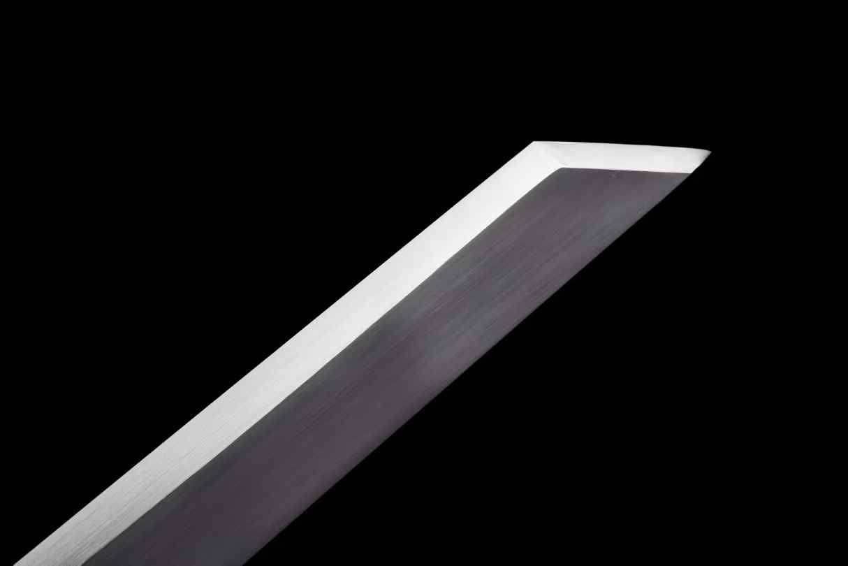 Tang horizontal sword ~ Canglong(SHARP)
