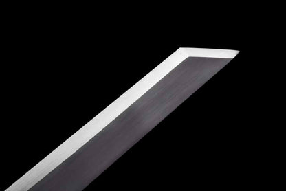 Tang horizontal sword ~ Canglong（SHARP）