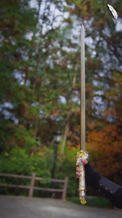 Dragon King Sword ~ Qiankun
